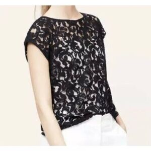 Loft Navy Blue Sheer Lace Overlay Large